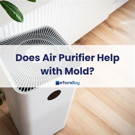 does an air purifier help with farts